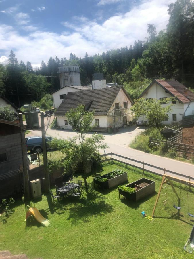 Apartment Am Ponyhof Sankt Kanzian am Klopeiner See Dış mekan fotoğraf